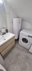 a bathroom with a washing machine and a sink at Studio Climatisé 2 couchages in Marseille