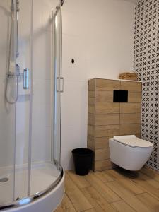 ドラフスコ・ポモルスキエにあるGościniec Pokoje Noclegowe Drawsko Pomorskieのバスルーム(トイレ、ガラス張りのシャワー付)