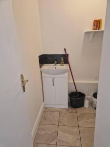Baño pequeño con lavabo y fregona en Beautiful 1-Bed Apartment in Cork, en Cork