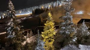 Fotografie z fotogalerie ubytování Kvitfjell Alpinhytter Kvitfjellvegen 492 v destinaci Kvitfjell