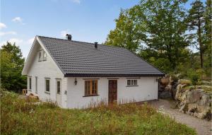 サンネフヨルにあるAmazing Home In Sandefjord With Wifiの丘の上の黒屋根白家