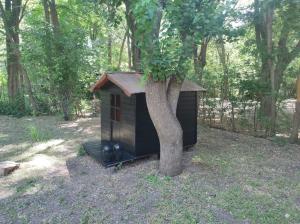 eine schwarze Hundehütte neben einem Baum in der Unterkunft Casa en El Manzano Histórico, Valle de Uco in Tunuyán + 11 Fotos