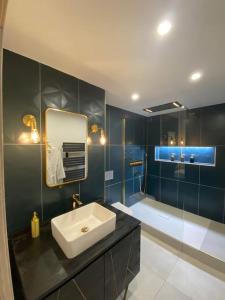 ein Badezimmer mit einem Waschbecken und einer Badewanne in der Unterkunft La Suite Saphir – spa privatif in Nancy