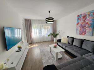 a living room with a couch and a tv at Apartman Aleksandra u strogom centru grada in Bačka Topola
