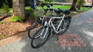 two bikes parked on a sidewalk next to a tree at Pod Świerkami in Boszkowo