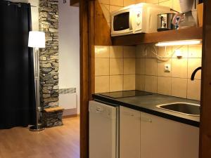 eine Küche mit einer Spüle und einer Mikrowelle in der Unterkunft Studio La Plagne Montalbert , 1 pièce, 4 personnes - FR-1-181-2478 in Aime La Plagne