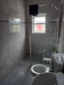 e bagno con doccia, servizi igienici e lavandino. di Babeann's at Kilmeen Wood Farm, West Cork a Clonakilty