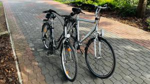 two bikes are parked on a brick sidewalk at Pod Świerkami in Boszkowo