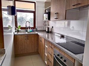 比亞里卡的住宿－Departamento frente al lago Villarrica，厨房配有木制橱柜、水槽和窗户。