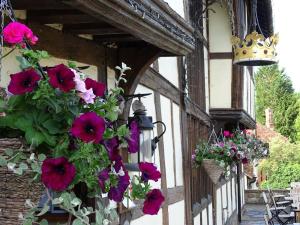 a bunch of flowers hanging on the side of a building at The Crown Inn in Chiddingfold