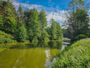 Foto dalla galleria di Dom Pod Klonem na Kaszubach a Kościerzyna