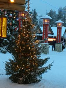a christmas tree in the snow with lights at Aurora Center 3 in Rovaniemi
