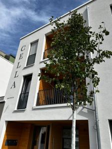 a white building with a tree in front of it at CELLA Apartments **** in Zell im Wiesental