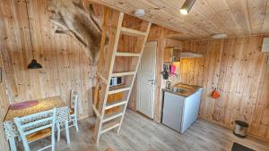 Кухня или мини-кухня в Fjâllnäs Camping & Lodges
