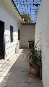 Foto sihtkohas Juchitán de Zaragoza asuva majutusasutuse Casa la flor de loto galeriist