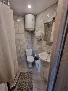 een kleine badkamer met een toilet en een wastafel bij Sodyba "Kristina" in Biržai