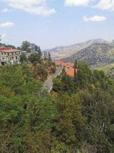 kręta droga na wzgórzu z drzewami i budynkami w obiekcie The Mouflon House Pedoulas w Nikozji