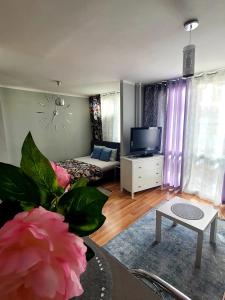 a living room with a couch and a tv at Apartament Centrum Jana Pawła II in Warsaw