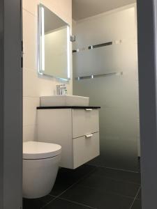 W łazience znajduje się toaleta, umywalka i lustro. w obiekcie Ferienwohnung Henniger w Dreźnie