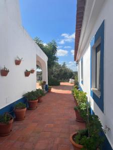 un camino con macetas al costado de un edificio en Casa de Campo, Quinta do Funchal, en Arraiolos