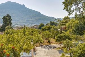 a garden with trees and a mountain in the background at Villa Arbona Dalt in Sóller