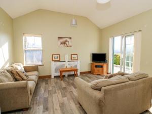 a living room with two couches and a tv at Valley View in Enniscorthy