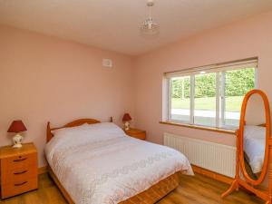 a bedroom with a bed and a mirror and a window at Valley View in Enniscorthy