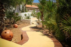 a walkway in a garden with plants and trees at Oasi Di Casablanca in Lampedusa