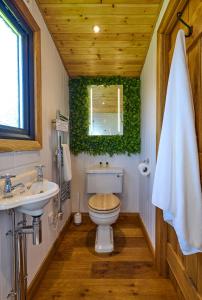 a bathroom with a toilet and a sink and a mirror at Abberley Shepherds Hut - Ockeridge Rural Retreats in Wichenford