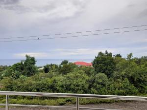 公寓周边自然景观