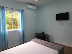 Anse La RayeにあるSerenity Seaview Suiteのベッドルーム(ベッド1台、窓付)