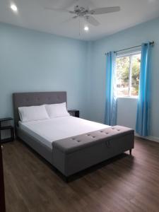 Schlafzimmer mit einem Bett mit blauen Wänden und einem Fenster in der Unterkunft Serenity Seaview Suite in Anse La Raye