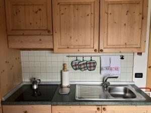 uma cozinha com um lavatório e armários de madeira em Giongo Residence Aparthotel 103 em Lavarone