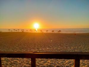 una puesta de sol en una playa con palmeras y el océano en Casa dos Rosas, en Melides