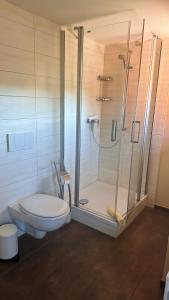 a bathroom with a toilet and a shower at Ferienwohnungen Hexenstieg & Wurmbergblick in Schierke +24 photos