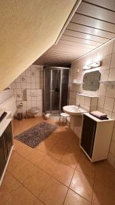ein Bad mit einer Dusche, einem Waschbecken und einem WC in der Unterkunft Ferienwohnungen Hexenstieg & Wurmbergblick in Schierke