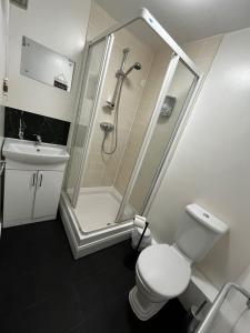 a bathroom with a shower and a toilet and a sink at The Sawmills in Carlisle
