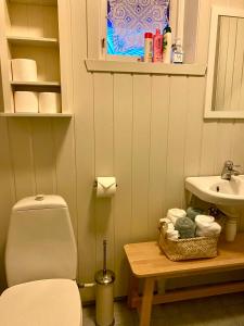 een badkamer met een toilet en een wastafel bij Skjerping gårdshus, in Lonevåg