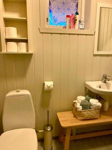 a bathroom with a toilet and a sink at Skjerping gårdshus, in Lonevåg