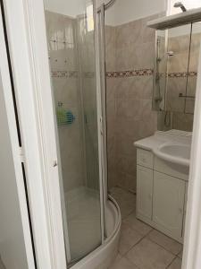 een badkamer met een douche en een wastafel bij Au meilleur quartier de Cannes in Cannes