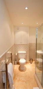 a bathroom with a toilet and a shower at Kennington B & B in London