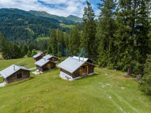 an aerial view of a group of cottages in a field at Mountain Cabin Got Spess Lenzerheide in Obervaz