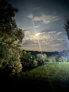 アライオロスにあるCasa de Campo, Quinta do Funchalの空の太陽を浴びる野原