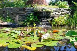 A garden outside Le Temps d'une Fugue