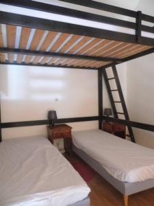 a bedroom with two bunk beds and a ladder at Azur Sancy Skis aux pieds in Le Mont-Dore