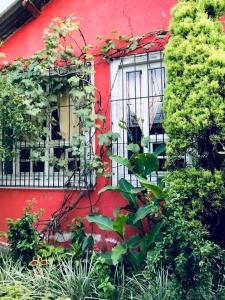um edifício vermelho com plantas ao lado dele em Casa I’x (Jaguar) em San Juan La Laguna