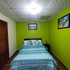 Schlafzimmer mit einem Bett mit grünen Wänden und einem TV in der Unterkunft Downtown in Quito