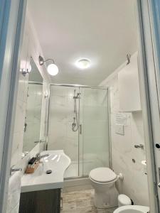 a bathroom with a shower and a toilet and a sink at Appartamento Il Tempio Della Capitale in Rome