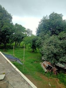 Blick auf ein Feld mit Bäumen und einer Hängematte in der Unterkunft home sweet home in Bhopal