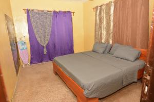 a small bedroom with a bed with purple curtains at Résidence Les 6 Roses in Porto-Novo